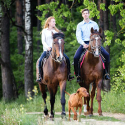 Actividad paseos a caballo