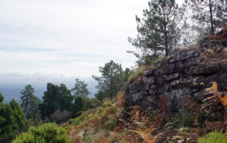 Muralla Ciclopea