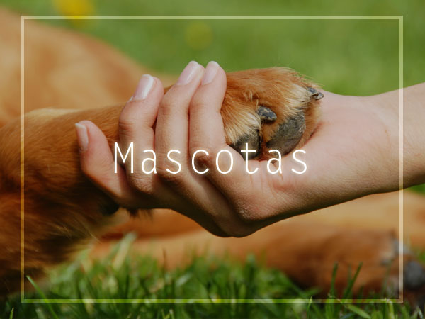 Mascotas