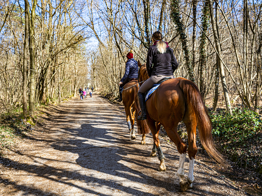 Dos personas realizando una ruta ecuestre por un sendero forestal iluminado por el sol.