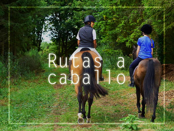 Dos personas montando a caballo por un sendero boscoso durante una ruta guiada.
